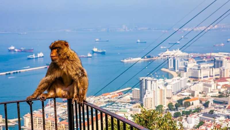Apartamentos Albeniz Algeciras Eksteriør billede